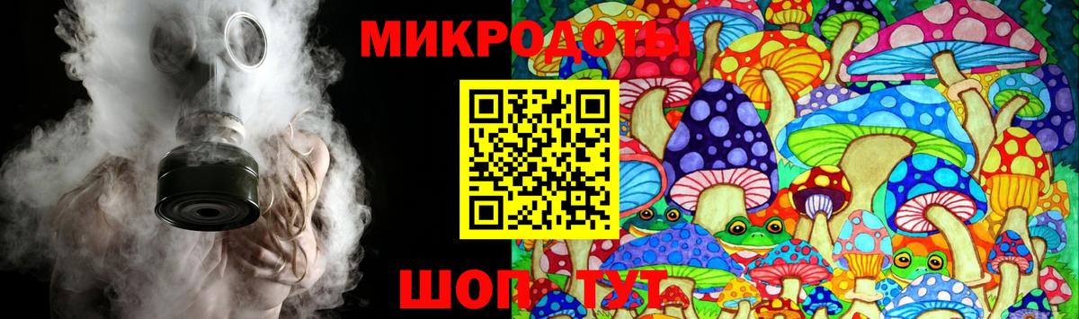 Псилоцибиновые грибы мицелий Чита